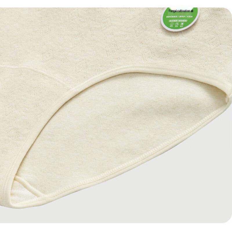 Women's Pure Cotton Anti-Bacterial Breathable High-Waist Briefs (3-Pack)