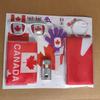 World Cup Fan Pack: National flag, sunglasses, clappers, face paint, cheering accessories and party supplies
