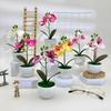 Artificial Pot Phalaenopsis Flower Bonsai For Event Decoration Prop Home And