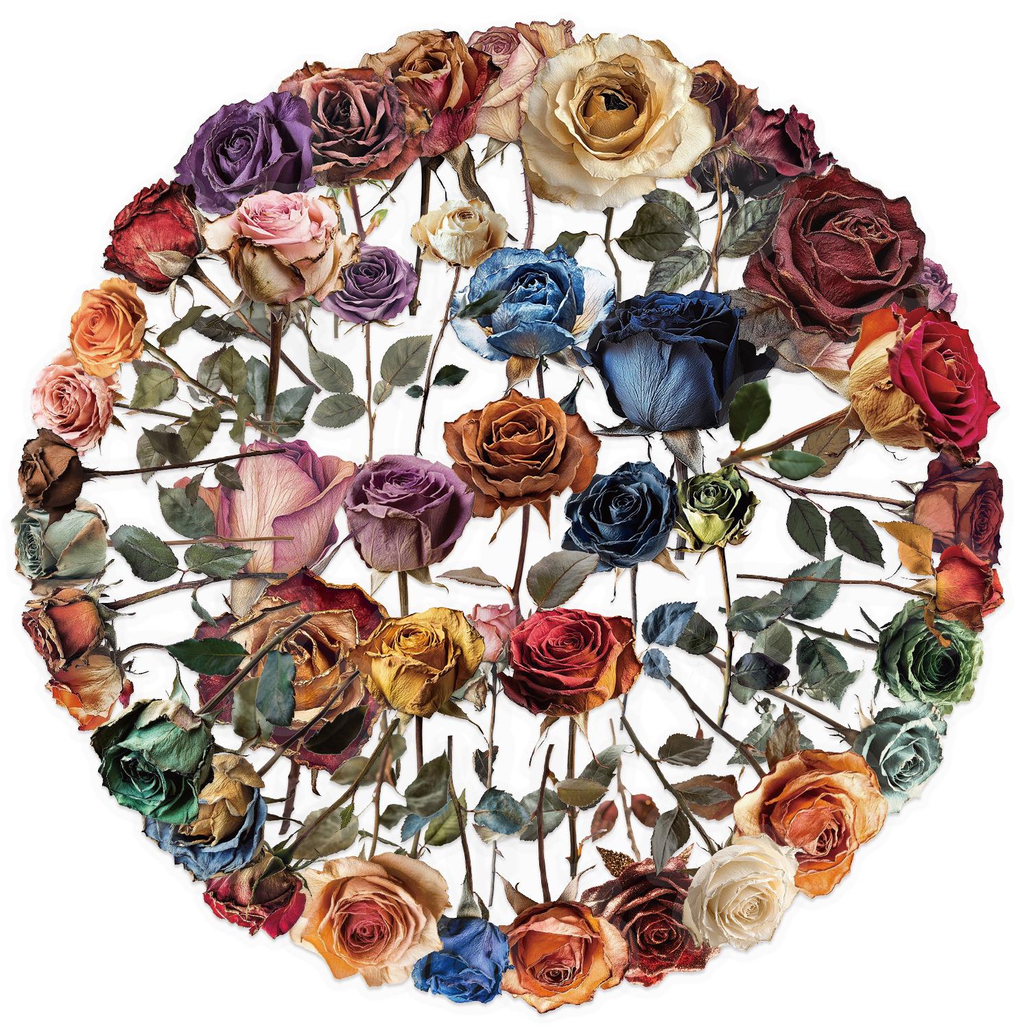 

Набор из 50 прозрачных наклеек с сухоцветами, водонепроницаемые, из прозрачного ПЭТ, ручной материал, декоративные, для гитары, блокнота