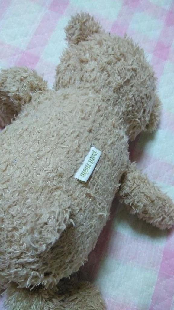 [USED] Teddy Bear