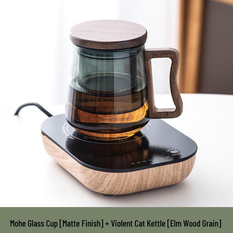 OLOEY Violent Cat Portable Glass Tea Infuser Bottle