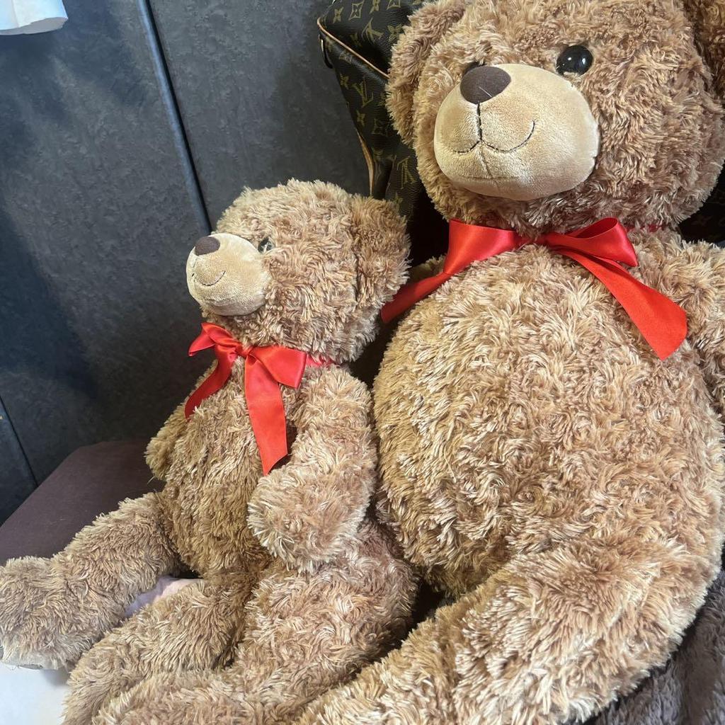 [USED] Parent and Child Lover Teddy Bear