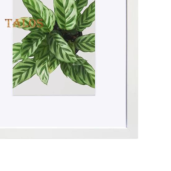 Hölzerner Bilderrahmen, 5/6/7/8/10 Zoll, A4, Wandmontage, einfach zu installierende Anzeige, horizontal oder vertikal, Tischdisplay, Bilderrahmen, Wandkunst fürs Büro