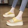 Beautiful Platform Slippers Women's Summer Wear New Versatile Fashion with Skirt Rhinestone Slope Heel One-word Sandals