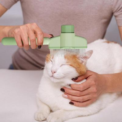 Kedi – Kedi bakım ürünleri