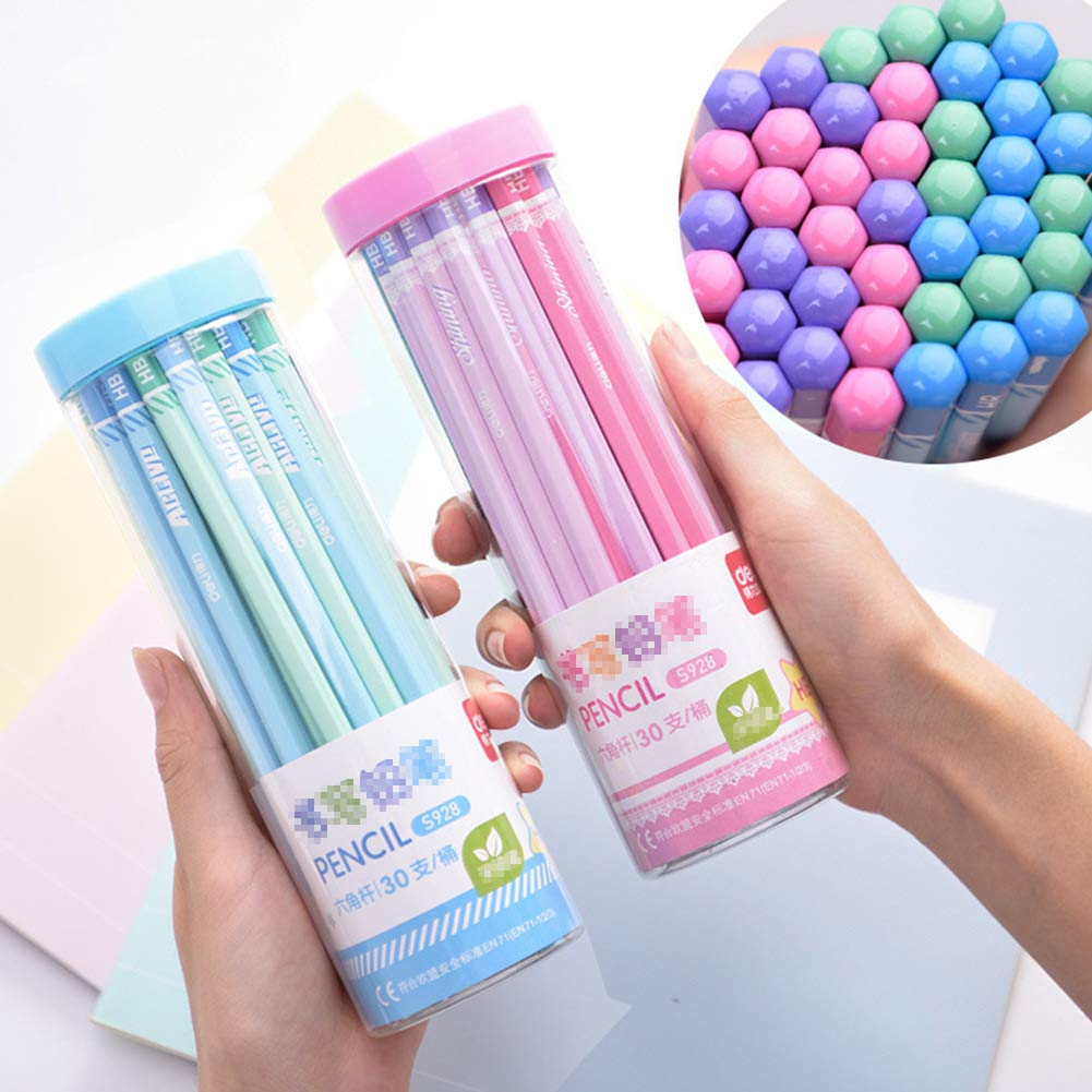 Set of 2B and HB Hexagonal Pencils Made from Natural Cute Stationery for Elementary School Perfect for School Entrance Ceremony Preparations and