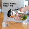 ZISIZ Large Capacity Glass Water Bottle with Tea Infuser
