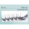 Bonnie Wisp - Natural Individual Multipack False Eyelashes (Various Designs)
