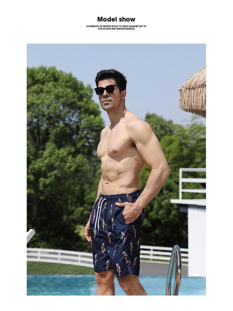 New Men's European Size Loose Casual Beach Shorts - Thin, Five-Point Length, Style D2206#