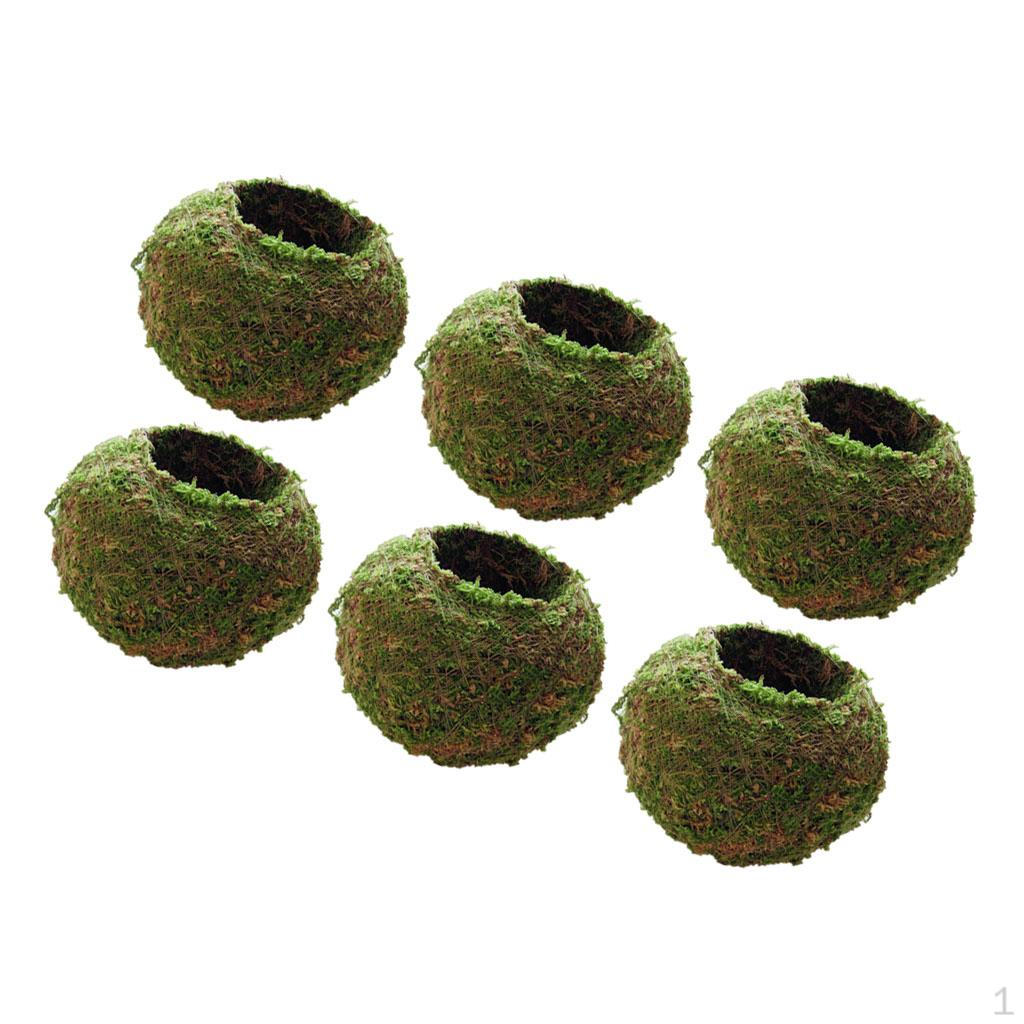 

Набор из 6 мини-шаров 12 см для бонсай, садовый горшок, плетеный