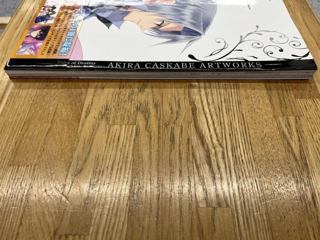 [USED] Kasukabe Kira ARTWORKS: Tales of Destiny Director's Cut