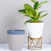 Set of 3 Self Watering Pots for Home, Decor & Garden | Flower Pots, Planters for Indoor Plants | Plastic Pots for Living Room