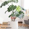 2Pcs Vertical Growth Monstera Plant Support Stakes for Indoor and Outdoor Plant Stabilizer for Monstera Plant