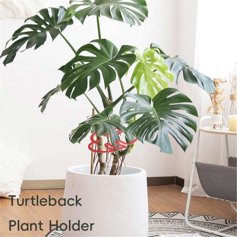 2Pcs Vertical Growth Monstera Plant Support Stakes for Indoor and Outdoor Plant Stabilizer for Monstera Plant