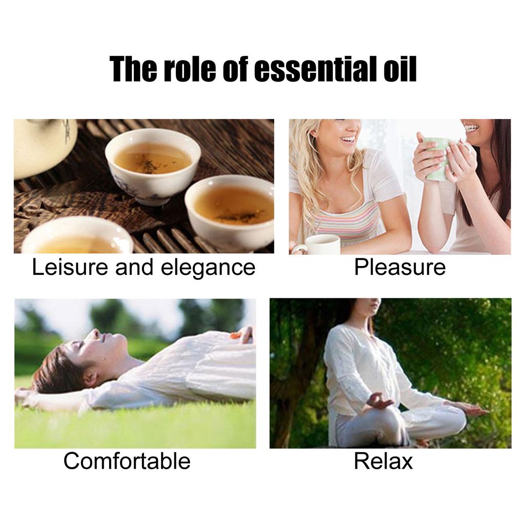 6Pcs Carnation Aromatherapy Essential Oil 3ml Water Soluble Fragrant Essential Oil for Diffuser Humidifier