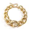 Exaggerated Acrylic CCB Big Chunky Thick Chain Necklace for Women Collar Hiphop Lock Choker Grunge Jewelry Steampunk Men 2026