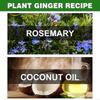 2pcs Rosemary Oil For Hair Growth,rosemary Essential Oil For Hair Growth Skin Care,improve Hair Loss And Nourishes