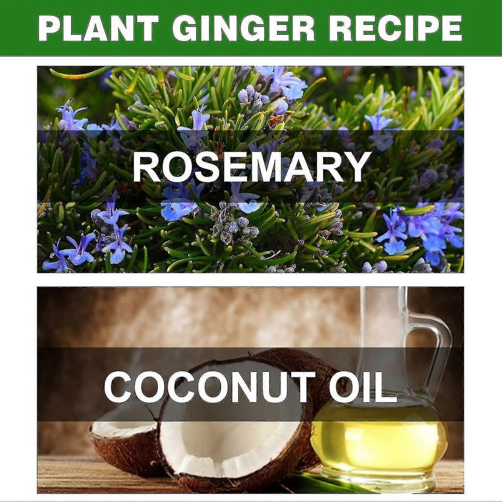 2pcs Rosemary Oil For Hair Growth,rosemary Essential Oil For Hair Growth Skin Care,improve Hair Loss And Nourishes
