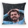 BBernardo SSilva  MidCourt Pillow Case Antidustmite Pillowcase Invisible Zipper Silky Short Plush Sofa Cushion Cover