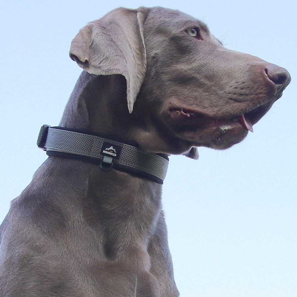 Elastisches Gurtband Haustierhalsband für mittelgroße bis große Hunde Kein Zug Hundesicherheitsschnalle Kette Spazierengehen