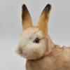 BH7797 HANSA Rabbit 35