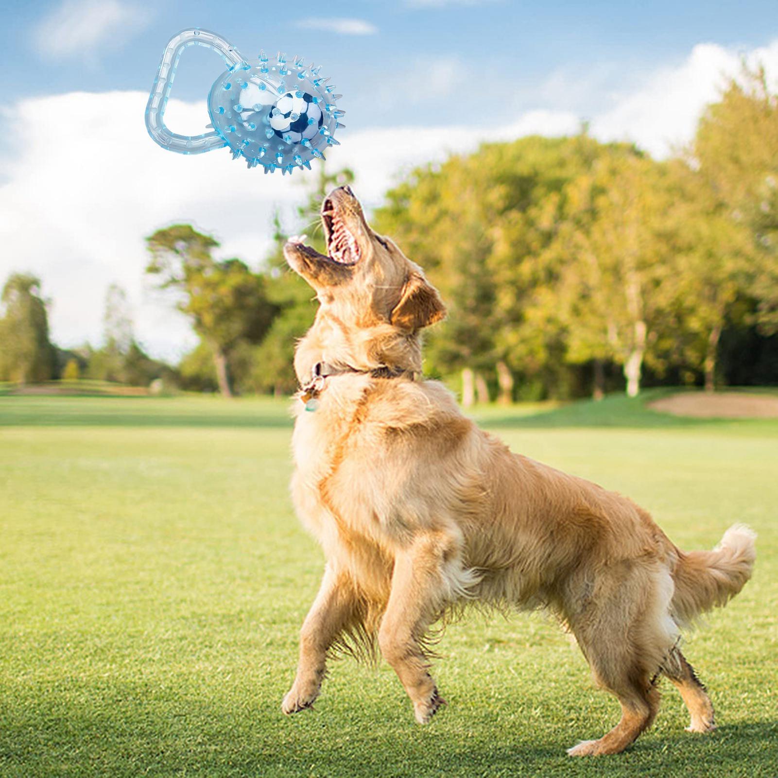 

Squeaky Balls For Dogs Soft Puppy Chewer With Handle Spiky Ball Dog Toy For Teeth Cleaning Boredom Relief Stimulating Toss Fetch China Mainland