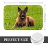 Belgian Shepherd Dog Malinois Doormat Kitchen Entrance Home Floor Mat Anti-slip Carpet Rug for Living room Footpad Mats