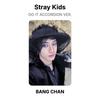 Stray Kids DO IT ACCORDION VER. Official Photocard