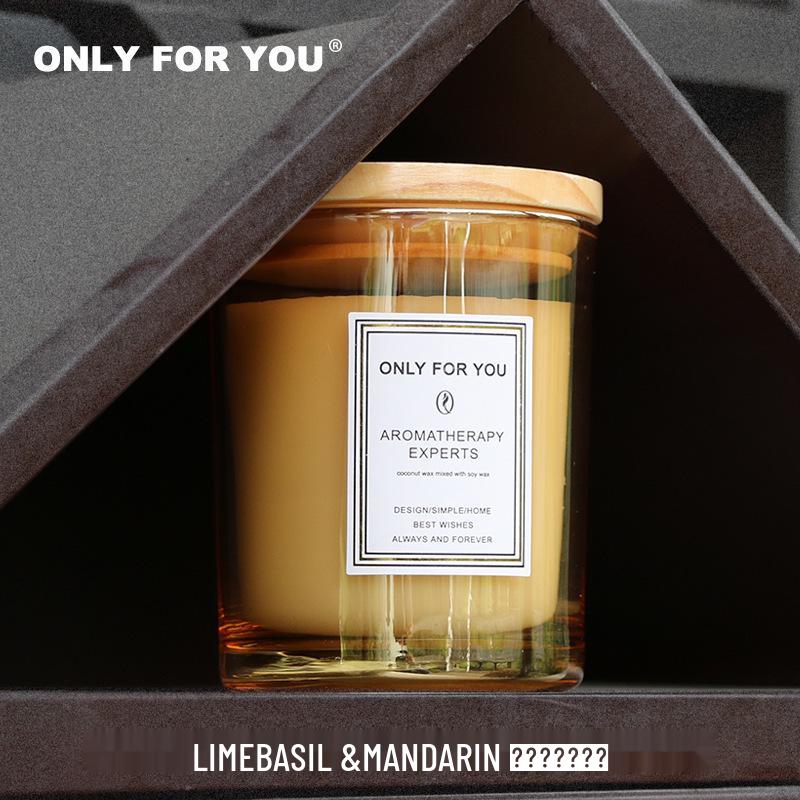 US Brand Ion Plating Aromatherapy Essential Oil Scented Soy Wax Candle Gift