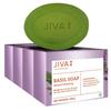 Jiva Basil Soap 100gm Pack of 4 | Pure Natural Herbal Skincare for Acne, Pimples, Rashes, Blemishes