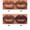 Pudaier - High-Pigment Plumping Lip Gloss - 14 Colors