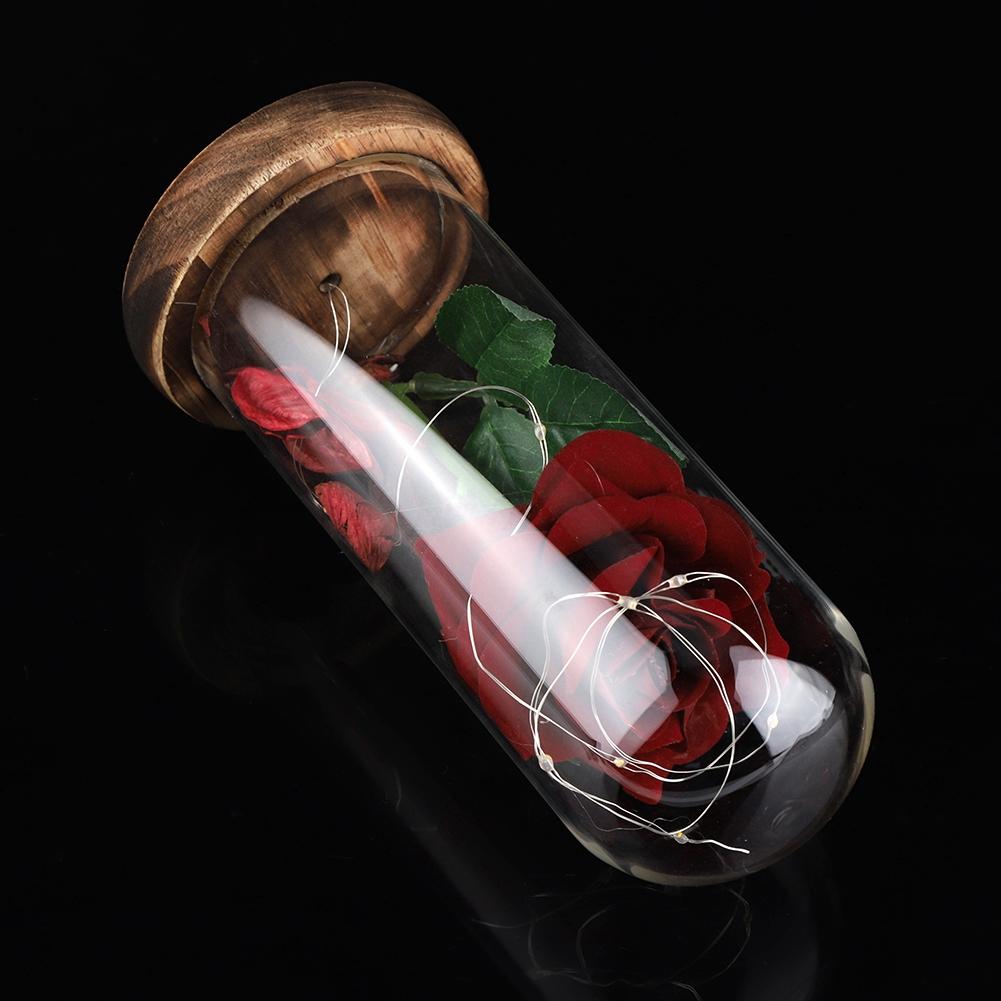 Preserved Rose Flower LED Light with Glass Cover & Wooden Base Valentines Day Wedding Gift Red
