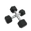 Hexagonal Fixed Dumbbell with Rubber Coating for Commercial Gyms - Ideal for Personal Trainers and Arm Strength Training.