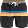 Quiksilver Mens Stripes Swim Shorts