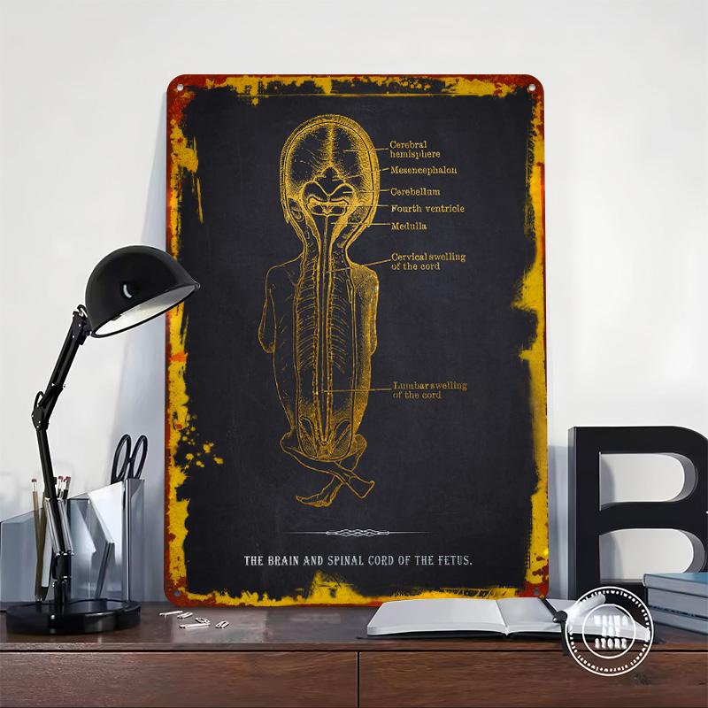 Fetus Brain Spinal Cord Tinplate Poster Customized Wall Art Vintage Retro Metal Signs for Decoration Bedroom Decorations Decor