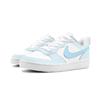 Nike Court Borough 2 Skateboard Shoes Unisex Low Top Blue/White BQ5448-100(Team1855 )