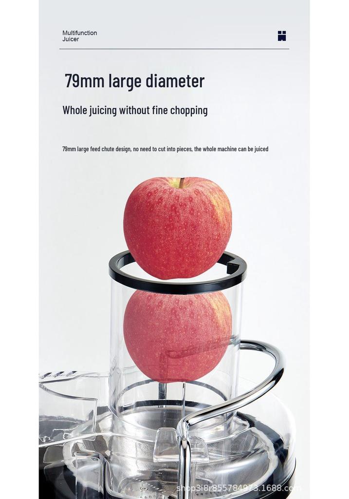 4-in-1 Multi-functional Stainless Steel Juicer & Blender with Pulp Separation