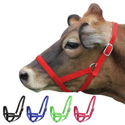 Adjustable Nylon Cattle Halter Livestock Head Halter with Lead Rope Heavy Duty Cow Halter for Farm Animals