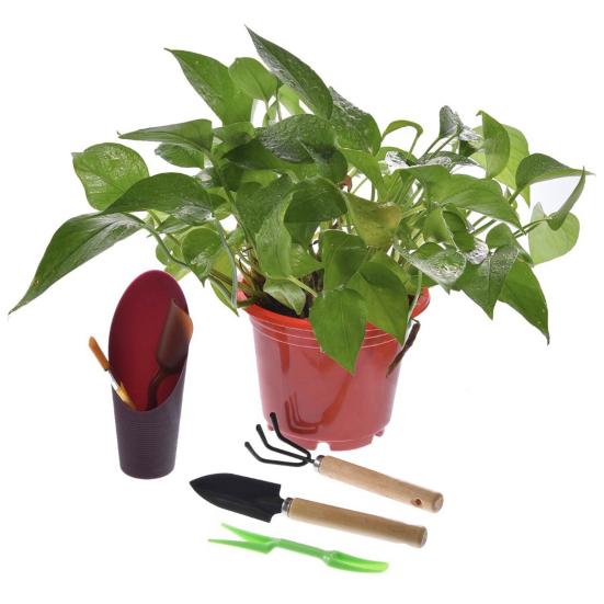 

12 шт./компл. садовый набор для суккулентов с тканевой сумкой, простой в использовании металлический базовый многофункциональный инструмент для полива бонсай во дворе