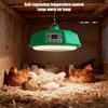 500W Heat Lamp Light for Piglets Animal Enclosures and Bathroom Shower Heating
