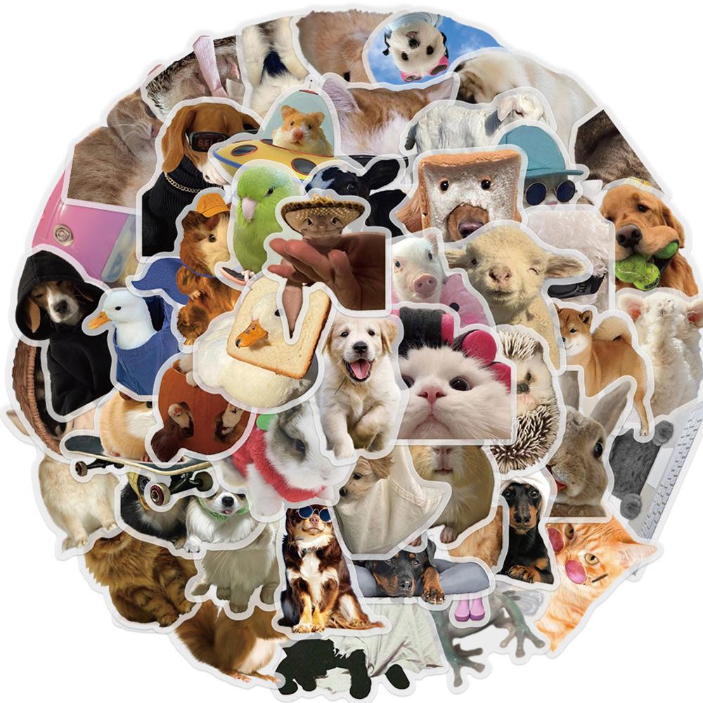 10/30/50 Stück Lustige Tiere Meme Aufkleber Niedliche Katze Hund Hase Abziehbilder Wasserdicht DIY Skateboard Notizbuch Telefon Graffiti Aufkleber Spielzeug
