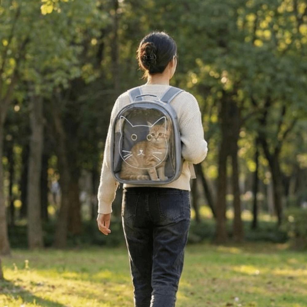 Transparent Cat Outdoor Bag Large Capacity Pet Space Capsule Pet Travel Bag  Puppy Kitty Bird