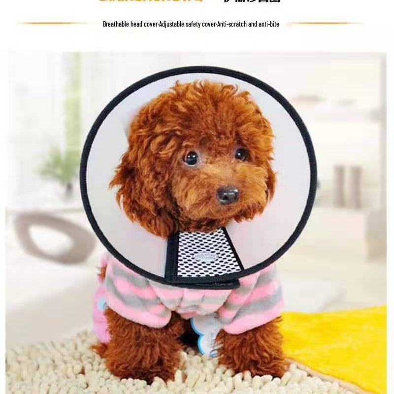 Elizabeth Collar: Anti-Bite, Anti-Scratch, Anti-Lick Pet Protective Cone for Cats and Dogs