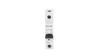Leitungsschutzschalter 1P D 20A 6kA AC PL6-D20/1 286546