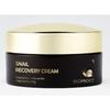Snail Recovery Cream 100g – Intensive Moisturizing & Nourishing Snail Mucin Face Cream (Large Size)