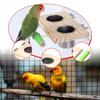Bird Feeder Bowl Perch Cup for Cockatiel Chinchilla Small Animal Macaw Conures