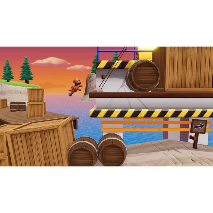 Pat Patrouille Jeu Nintendo Switch - Code in a box