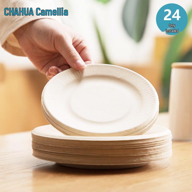 CHAHUA Disposable Paper Plates, Large, 72 Count