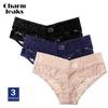 Roupa íntima feminina, pacote com 3 calcinhas de renda, transparente, hipster, elástica, perspectiva, cuecas, vazadas, elegantes, amigas da pele, 3 peças